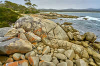 20241004130715_Rocky_Shoreline_at_Bay_of_Fires